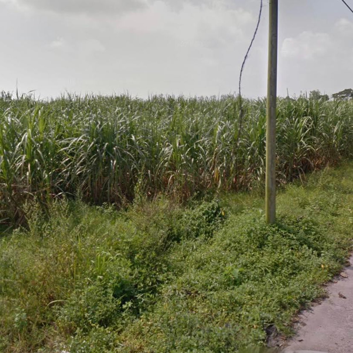 For Sale Lot in Arayat Pampanga [Lot 🚜] (April 2024) in Arayat