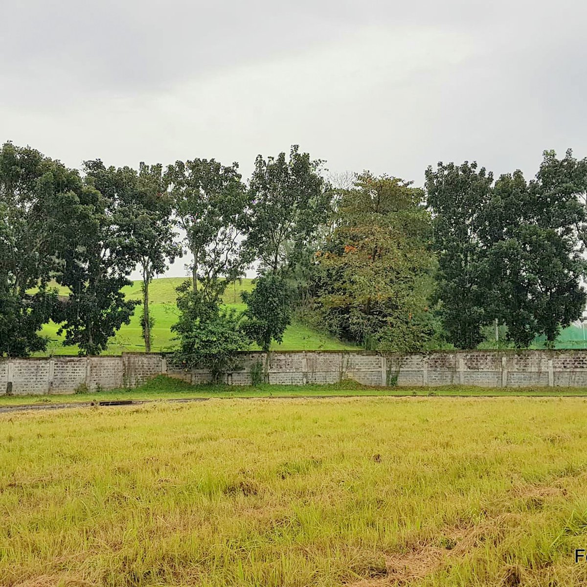 150 sqm Lot for Sale in Antipolo Rizal Valley Golf near Cainta [Lot 🚜