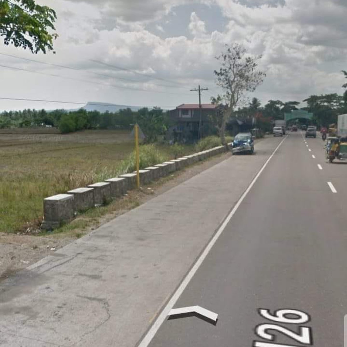 13287 sqm Agricultural Farm For Sale in San Fernando Camarines Sur [Lot