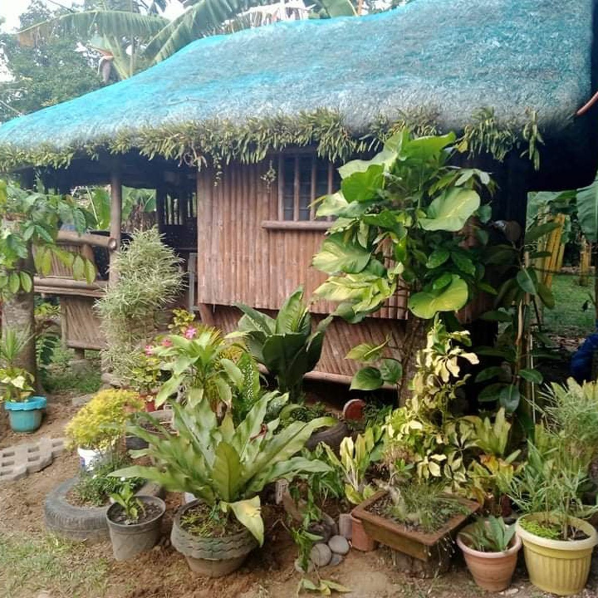 1000sqm RESIDENTIAL FARM LOT W/ BUNGALOW HOUSE FOR SALE INDANG [Lot 🚜