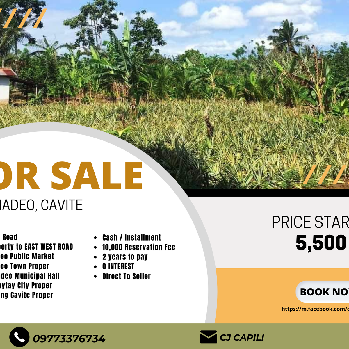 150 sqm Residential Farm Lot For Sale [Lot 🚜] (June 2022) in Amadeo