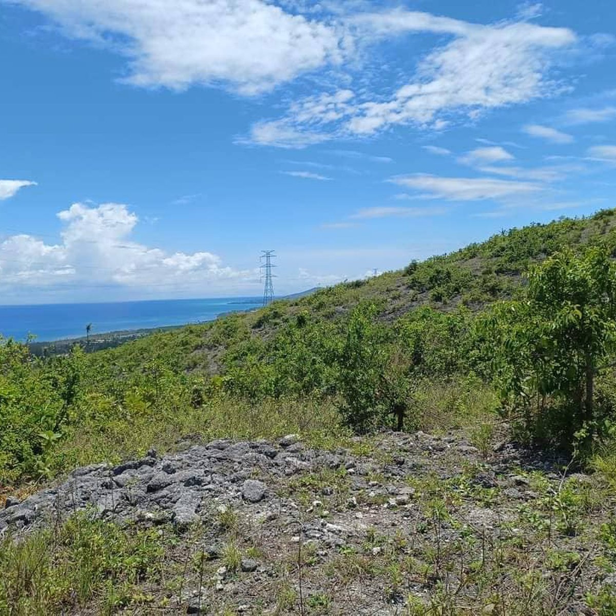 5 Years to pay 120 sqm Residential Lot For Sale in Sibonga Cebu [Lot 🚜
