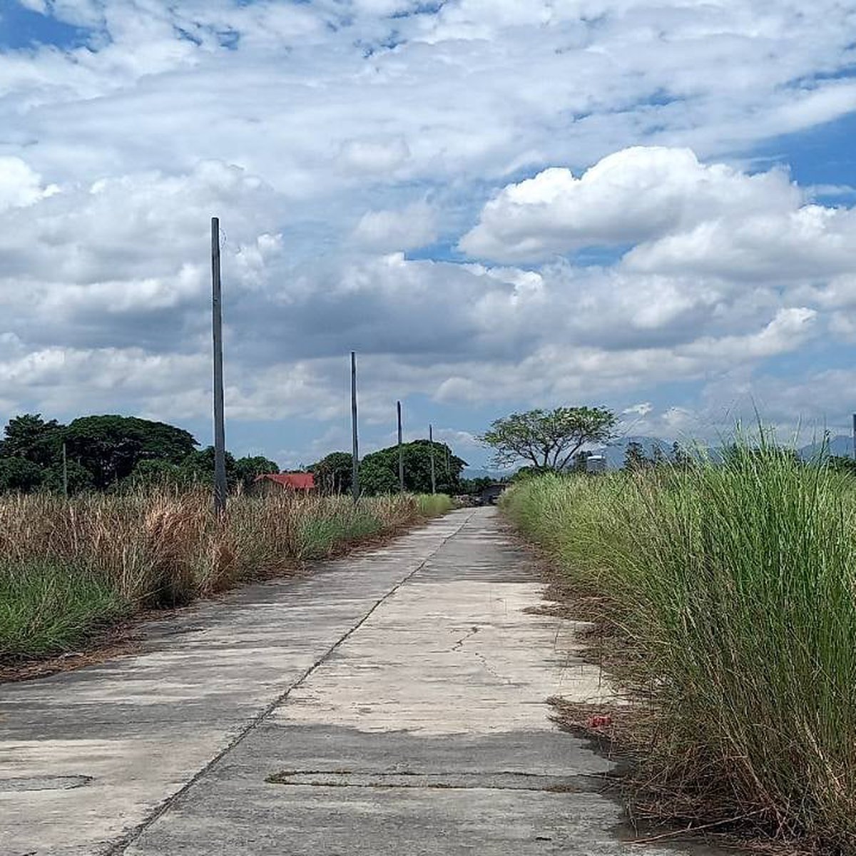 Residential Lot For Sale in Bacolor Pampanga [Lots 🚜] (September 2024