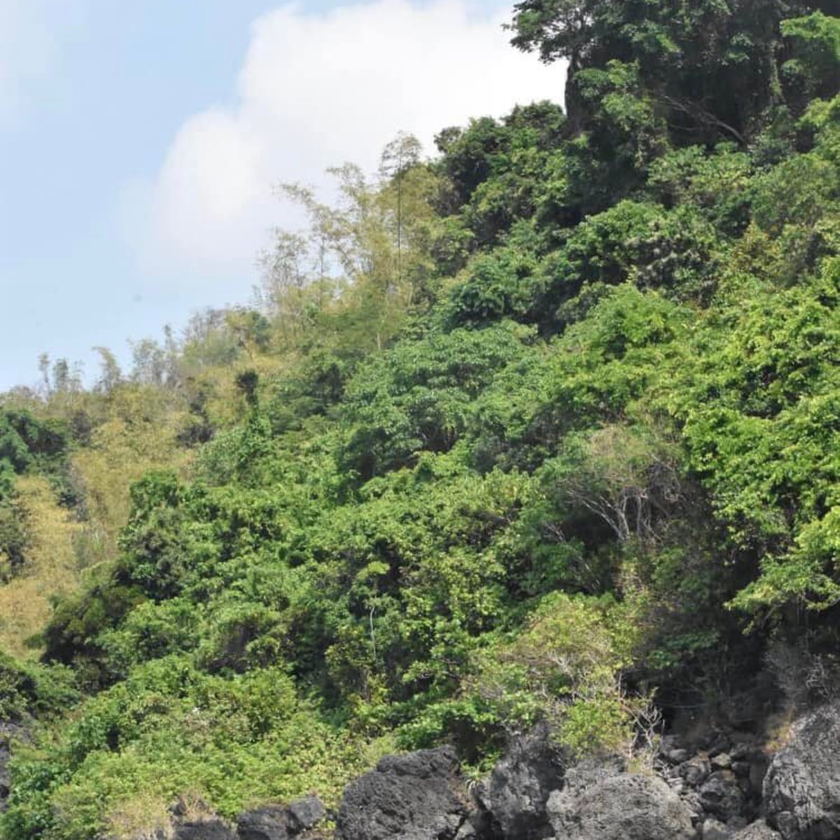 24000 sqm Lot For Sale By Owner in San Jose Occidental Mindoro [Lot 🚜