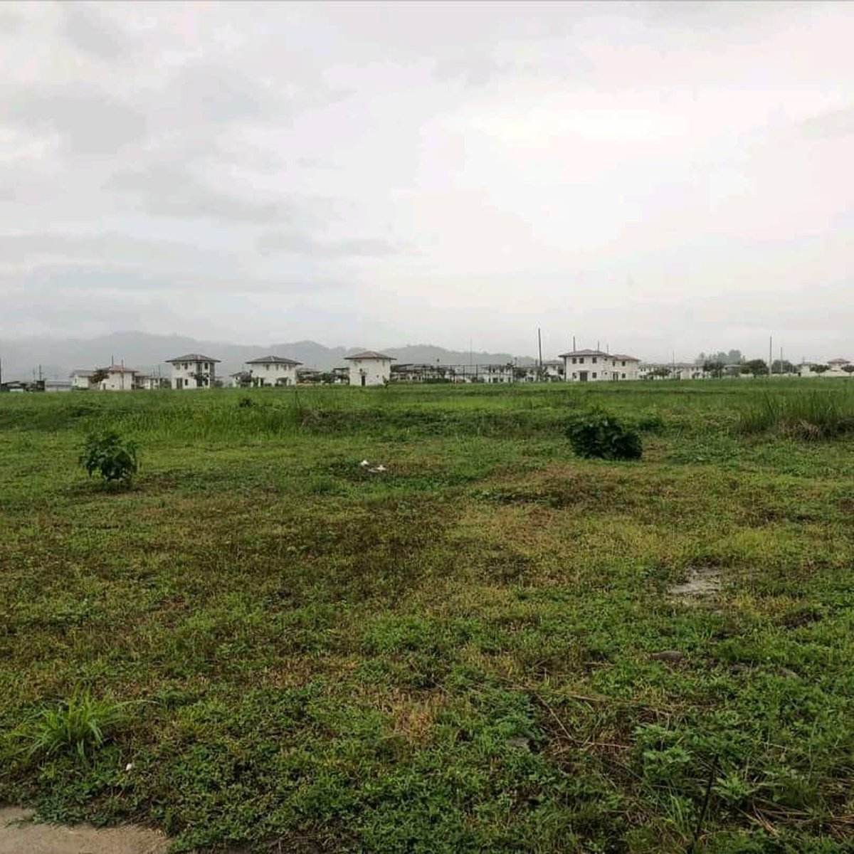Lot for Sale AVIDA Setting Alviera in PORAC PAMPANGA [Lot 🚜] (August
