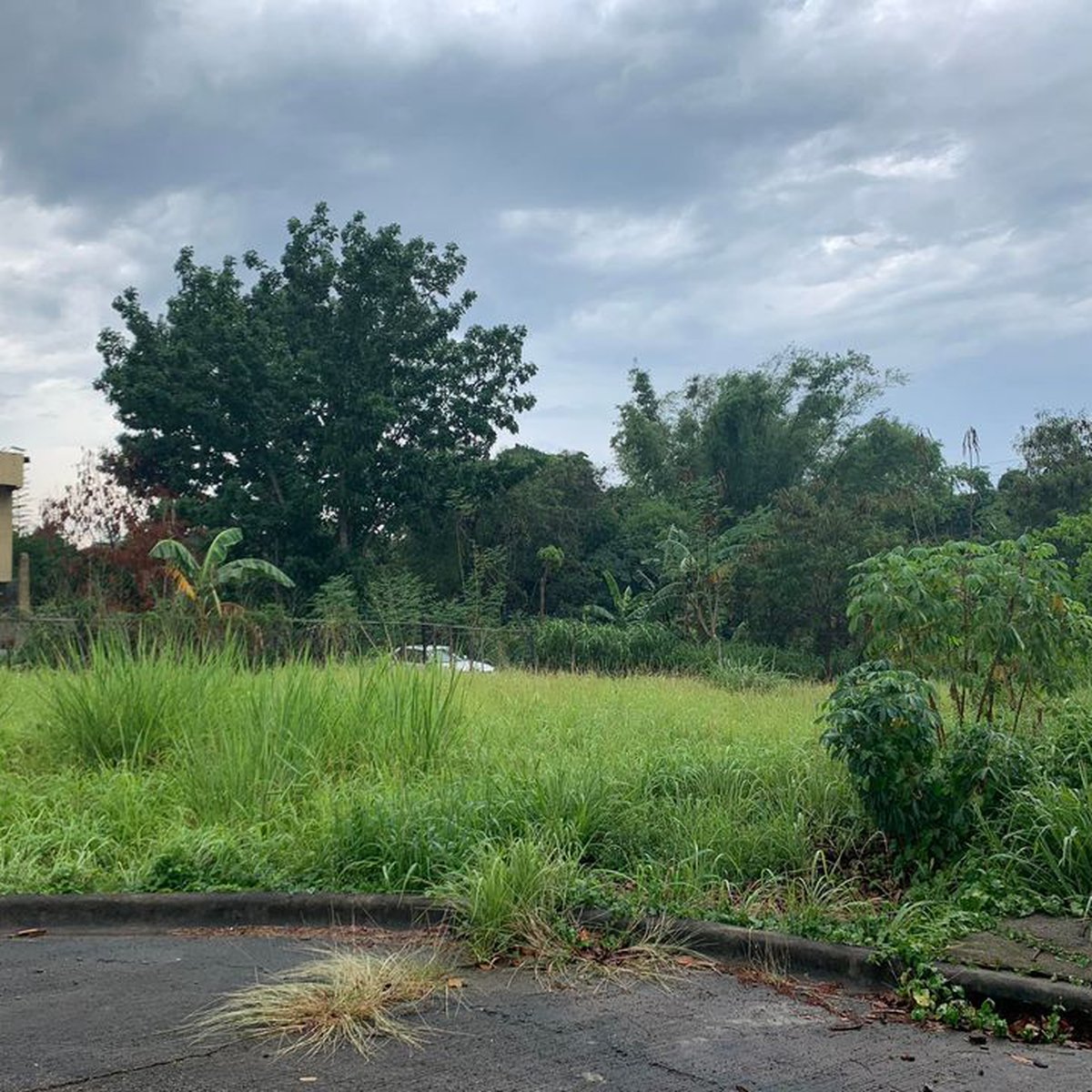 Residential Lots For Sale By Owner in Windsor Estate Dasmarinas Cavite [Lot 🚜] (August 2024) in