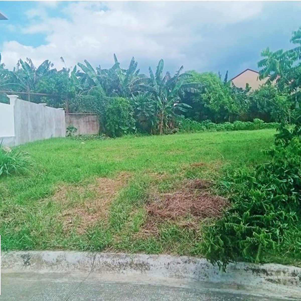 249 sqm Residential Lot For Sale in Naga Camarines Sur [Lot 🚜] (July