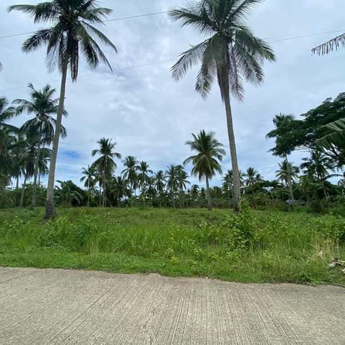 Residential farm lot and commercial area [Lot 🚜] (August 2023) in