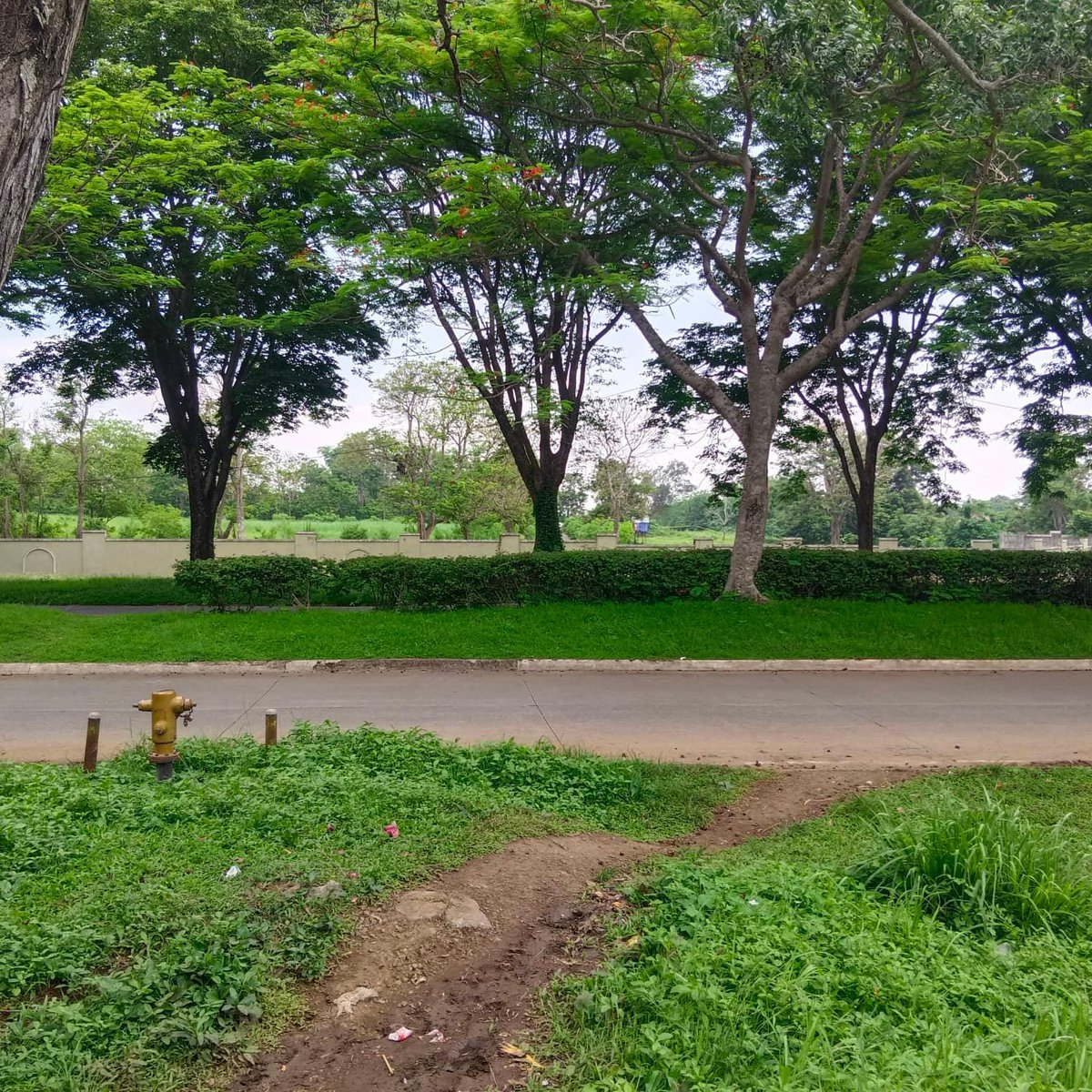 120 sqm Residential Lot For Sale in Dasmarinas Cavite [Lot 🚜] (June 2023) in Dasmariñas, Cavite