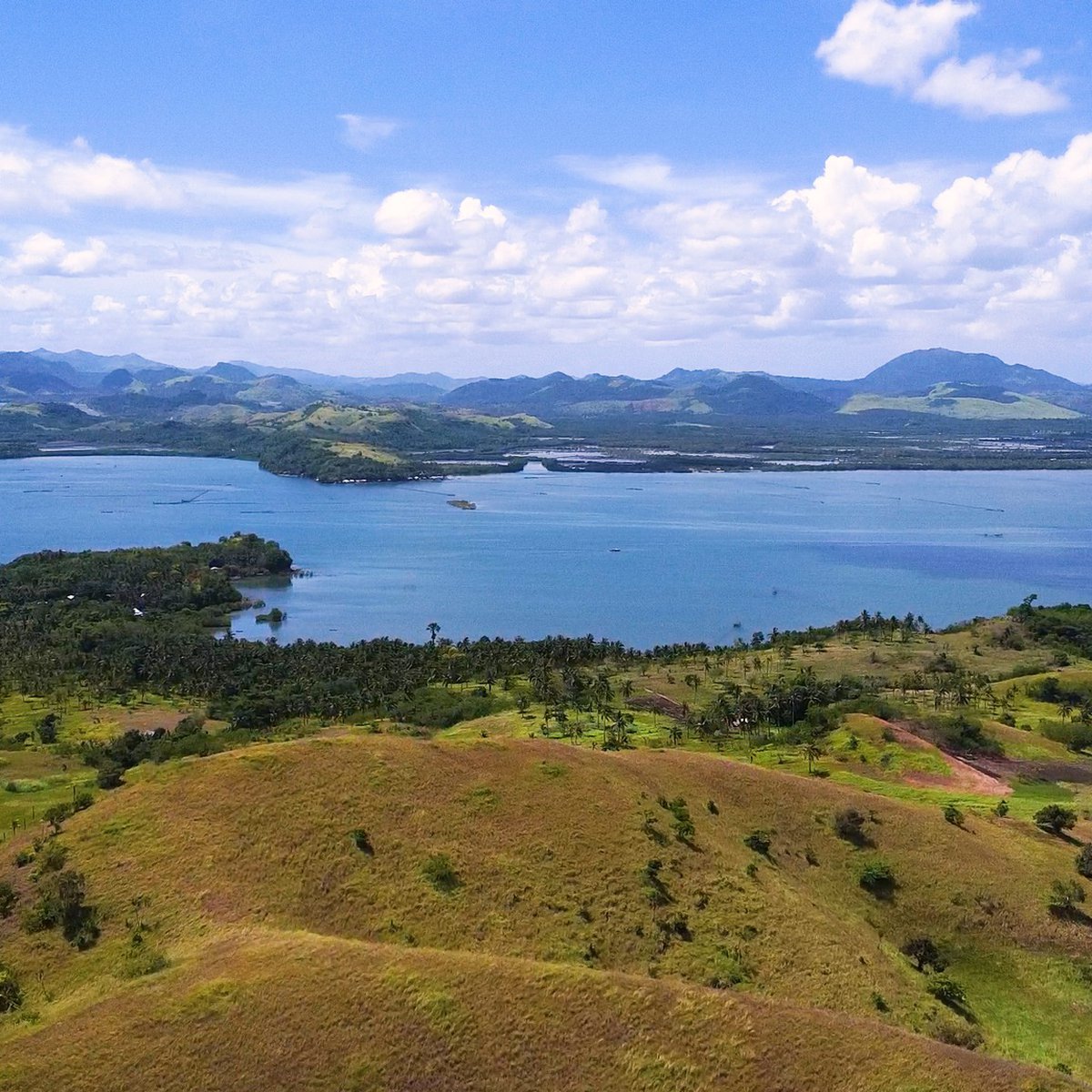 Agricultural Farm Land [Lot 🚜] (March 2023) in Aroroy, Masbate for sale