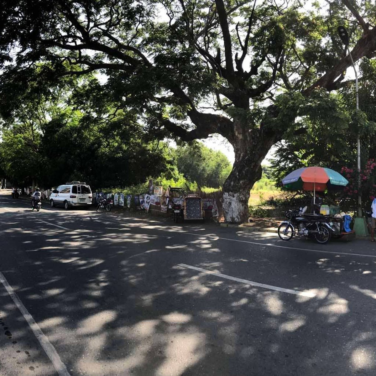 Commercial Lot For Sale in Candon Ilocos Sur 250 meters to Cityhall