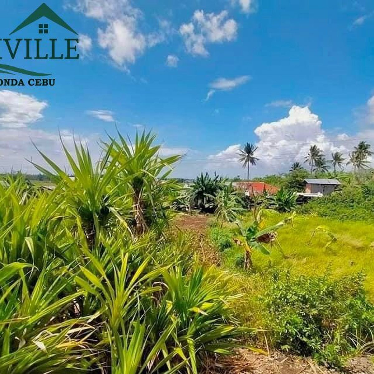 5 Year to pay 150 sqm Residential Lot For Sale in Ronda Cebu [Lot 🚜