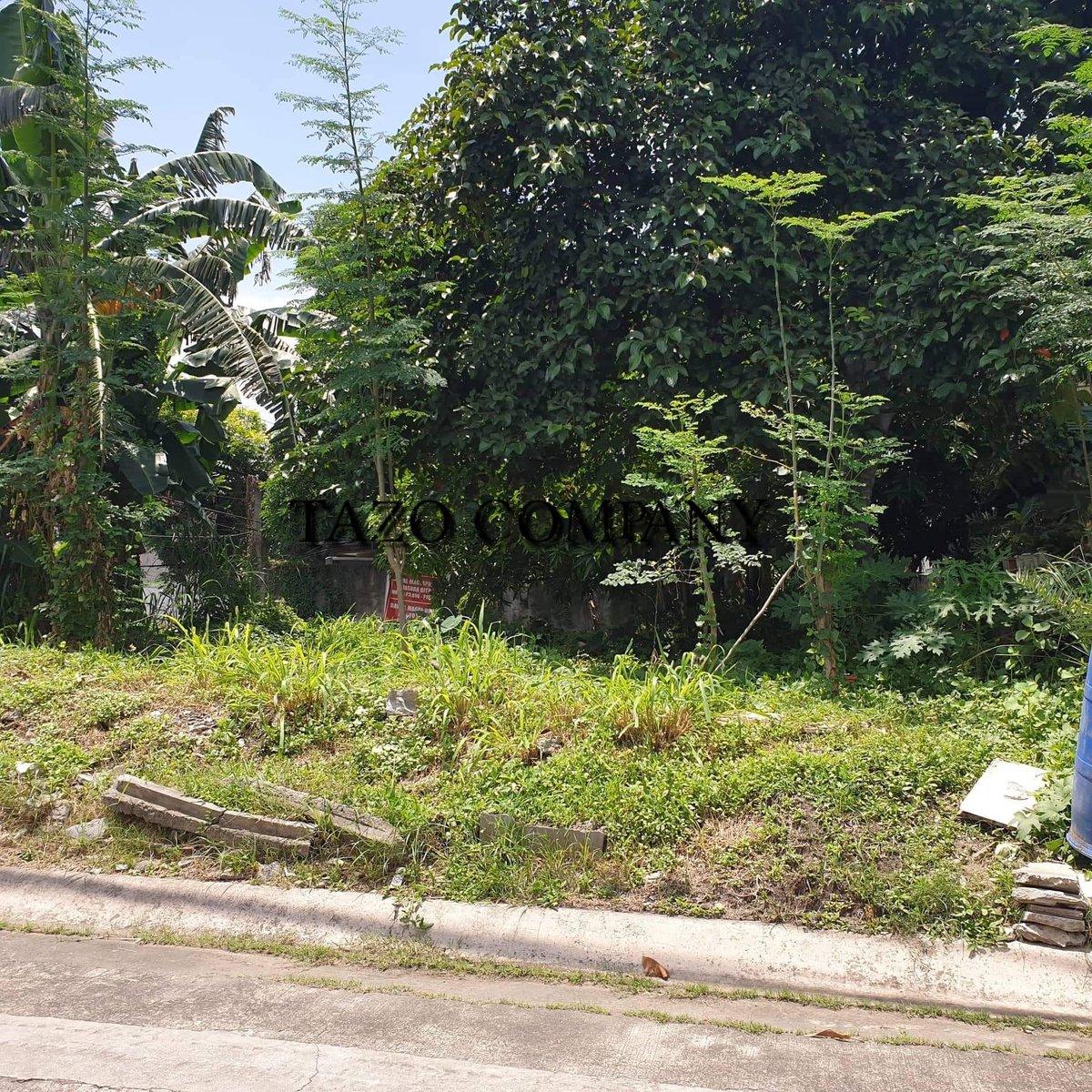 377 sqm Residential Lot For Sale in Parañaque, Merville [Lot 🚜] (June