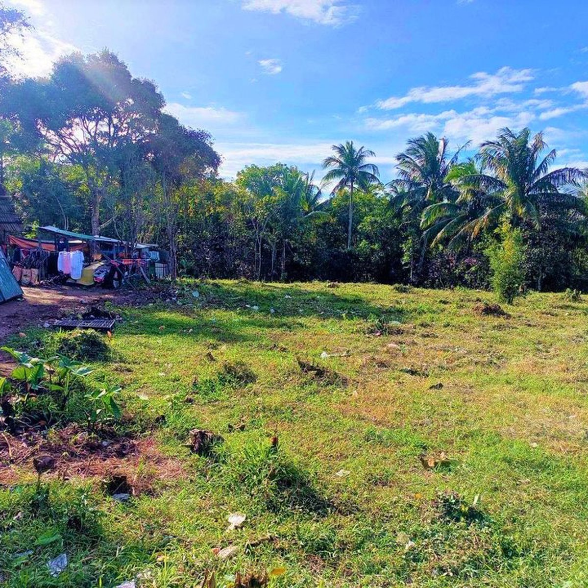 Very Affordable 298 sqm Residential Farm For Sale in Mendez Cavite [Lot