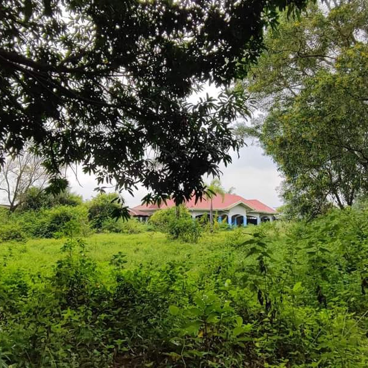 50000 sqm Residential Farm For Sale in Bacolor Pampanga [Lot 🚜] (April