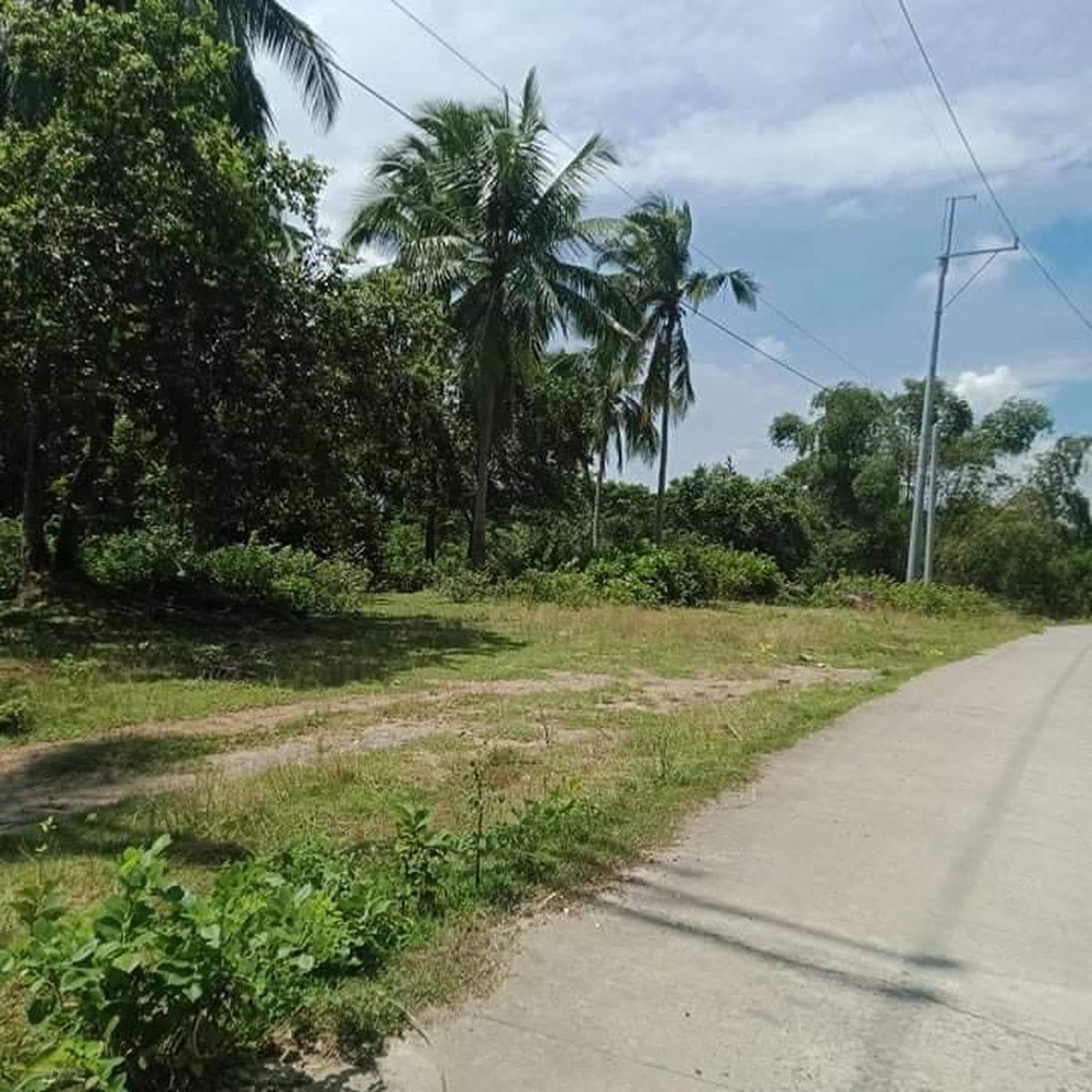 1 Hectare Land for Sale Clean Title Magallanes Cavite [Lot 🚜
