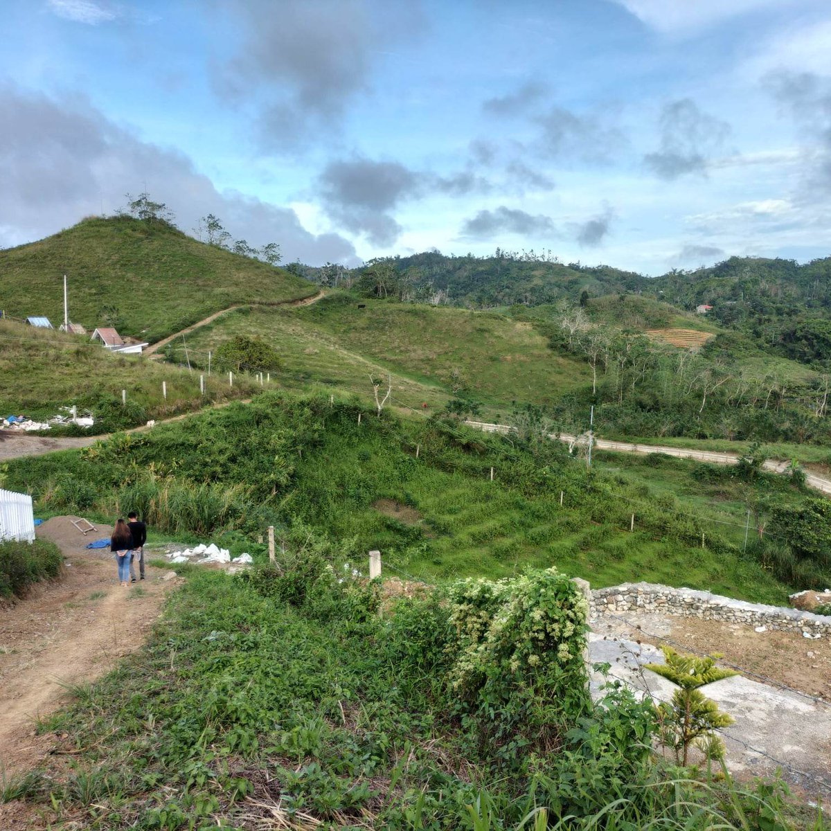 FARM RESORT 1,000 sqm Agricultural Farm For Sale in Cebu City Cebu [Lot