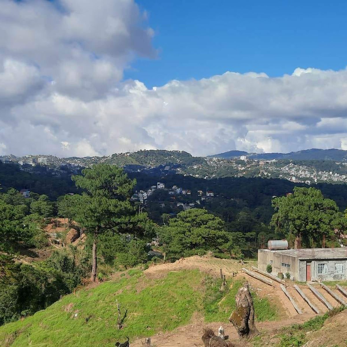 COUNTRYSIDE RESIDENTIAL LOT FOR SALE IN BAGUIO CITY 200 or 100SQM [Lot