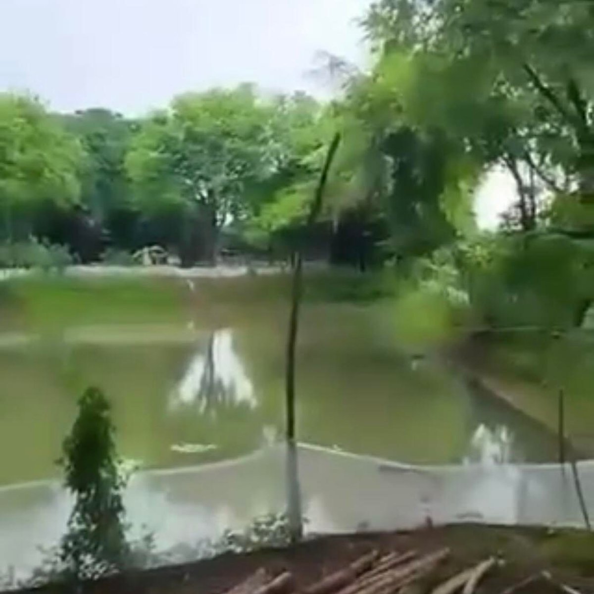 FOR SALE FARM LOT WITH FRUIT BEARING TREES AND POND IN PAMPANGA [Lot 🚜