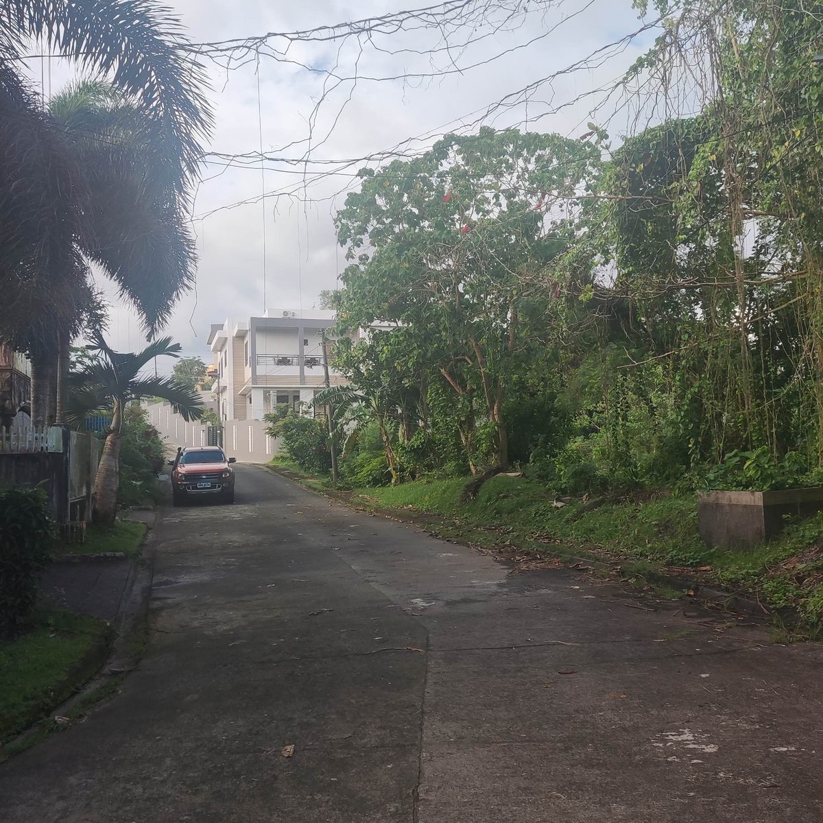 251 sqm Residential Lot For Sale in Legazpi, Albay [Lot 🚜] (November 2023) in Legazpi, Albay for