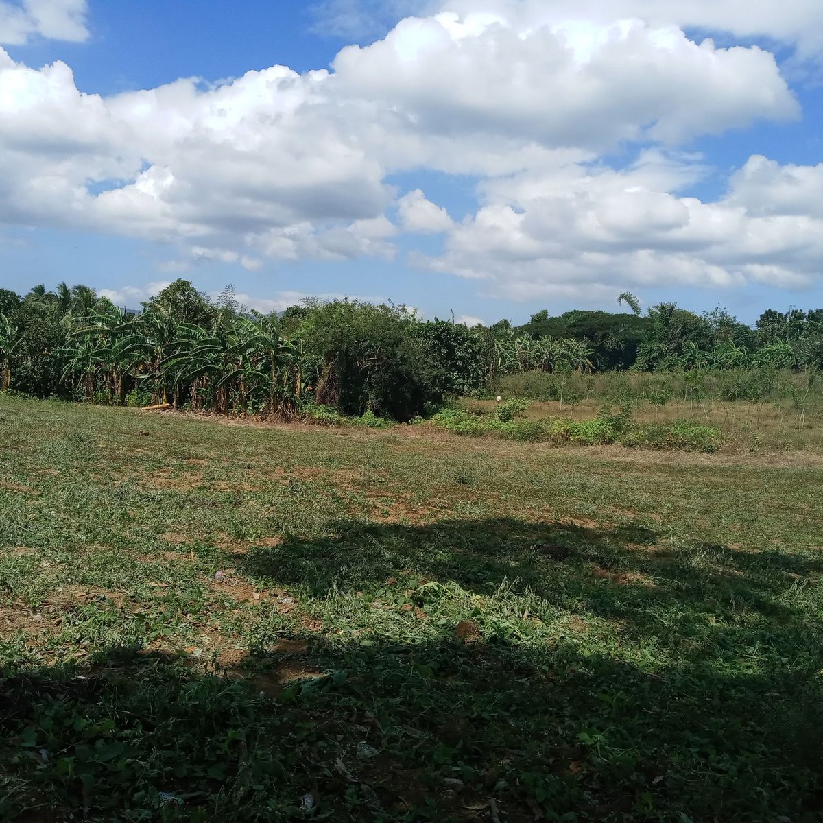 Farm lot in Cavite. [Lot 🚜] (March 2023) in Magallanes, Cavite for sale