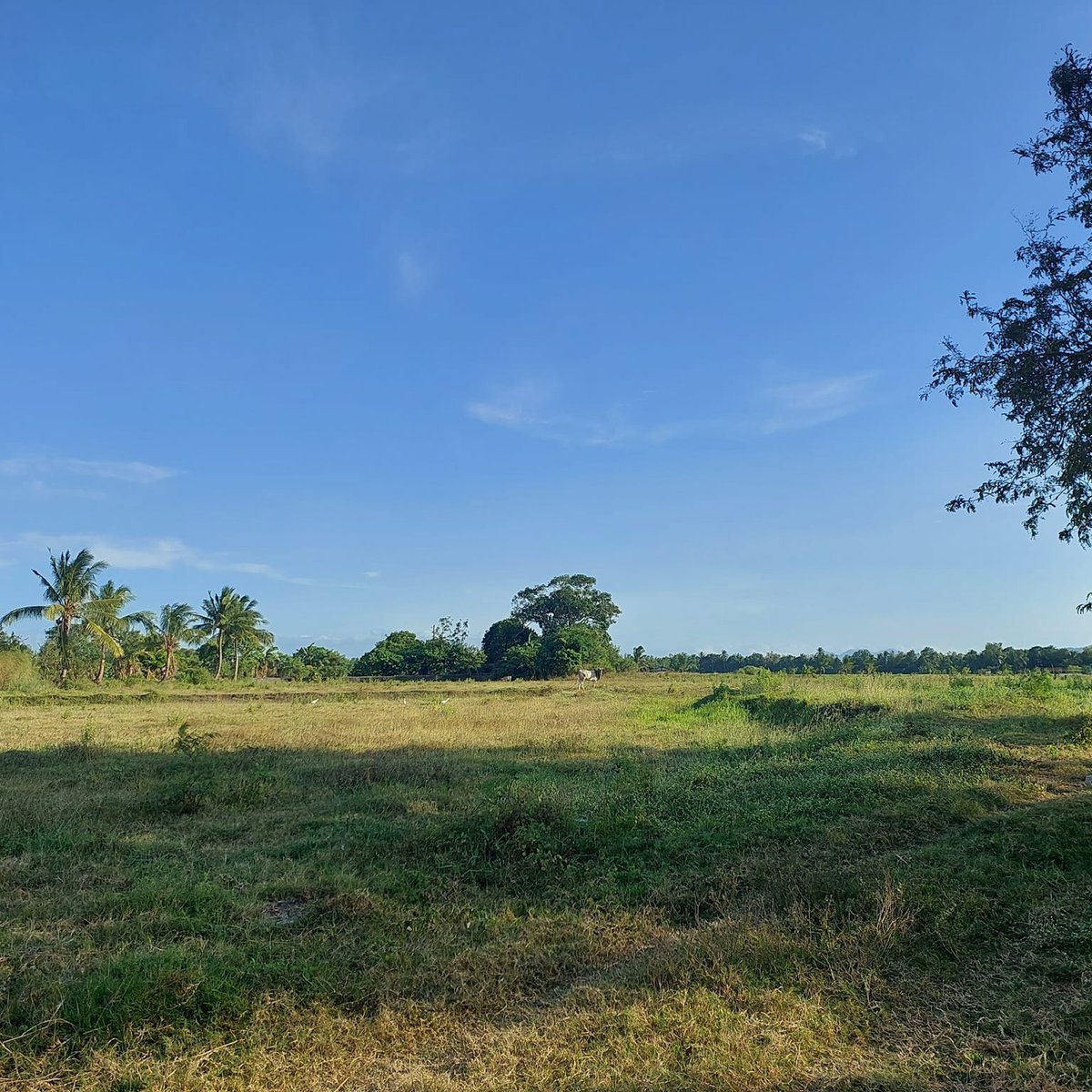 Preselling Residential Lot in Naic Cavite for sale [Lot 🚜] (September
