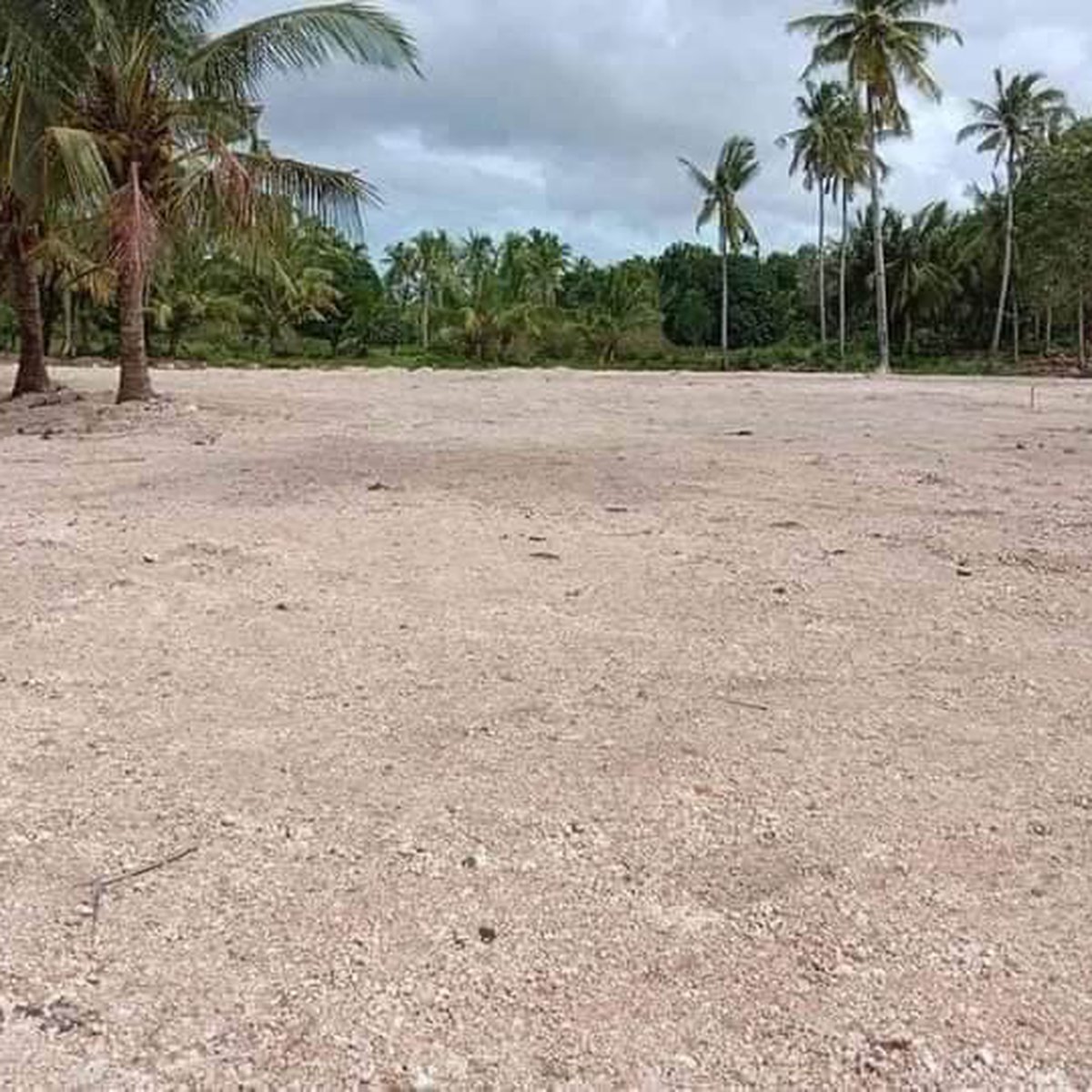 Beach lot for sale develop into subdivision [Beach Property 🏖️