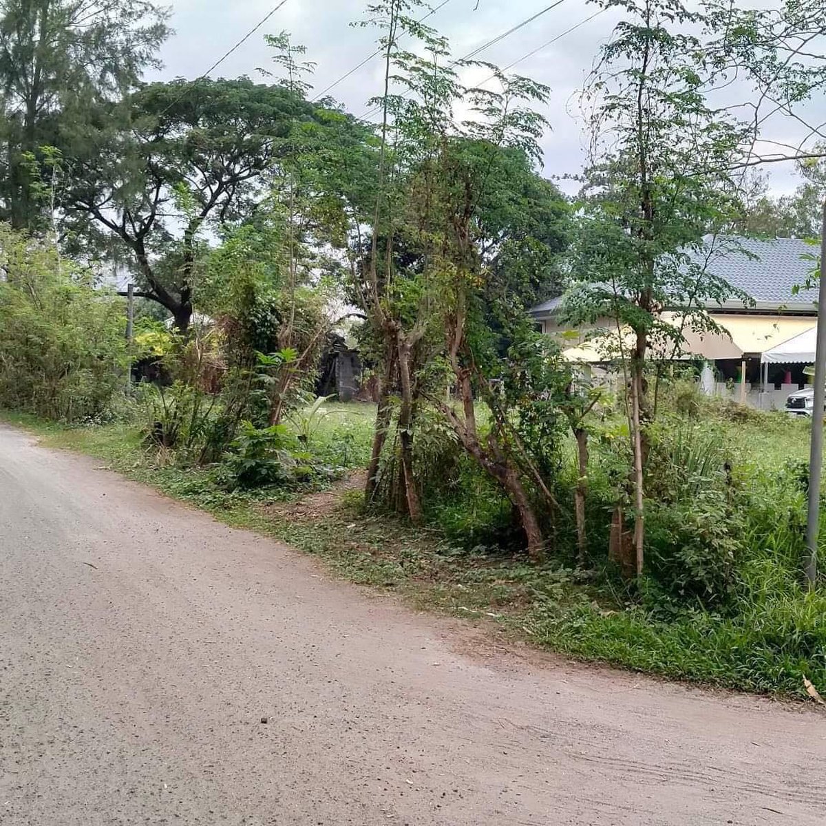 900 sqm Corner Residential Lot For Sale in San Marcelino Zambales [Lot