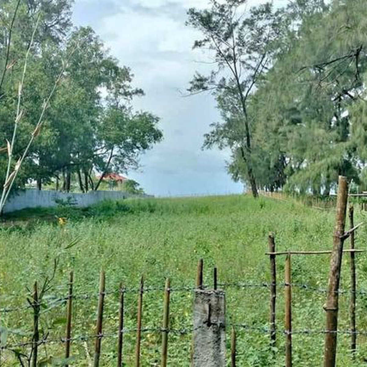 BEACHFRONT LOT FOR SALE IN BOTOLAN ZAMBALES [Beach Property 🏖️] (April