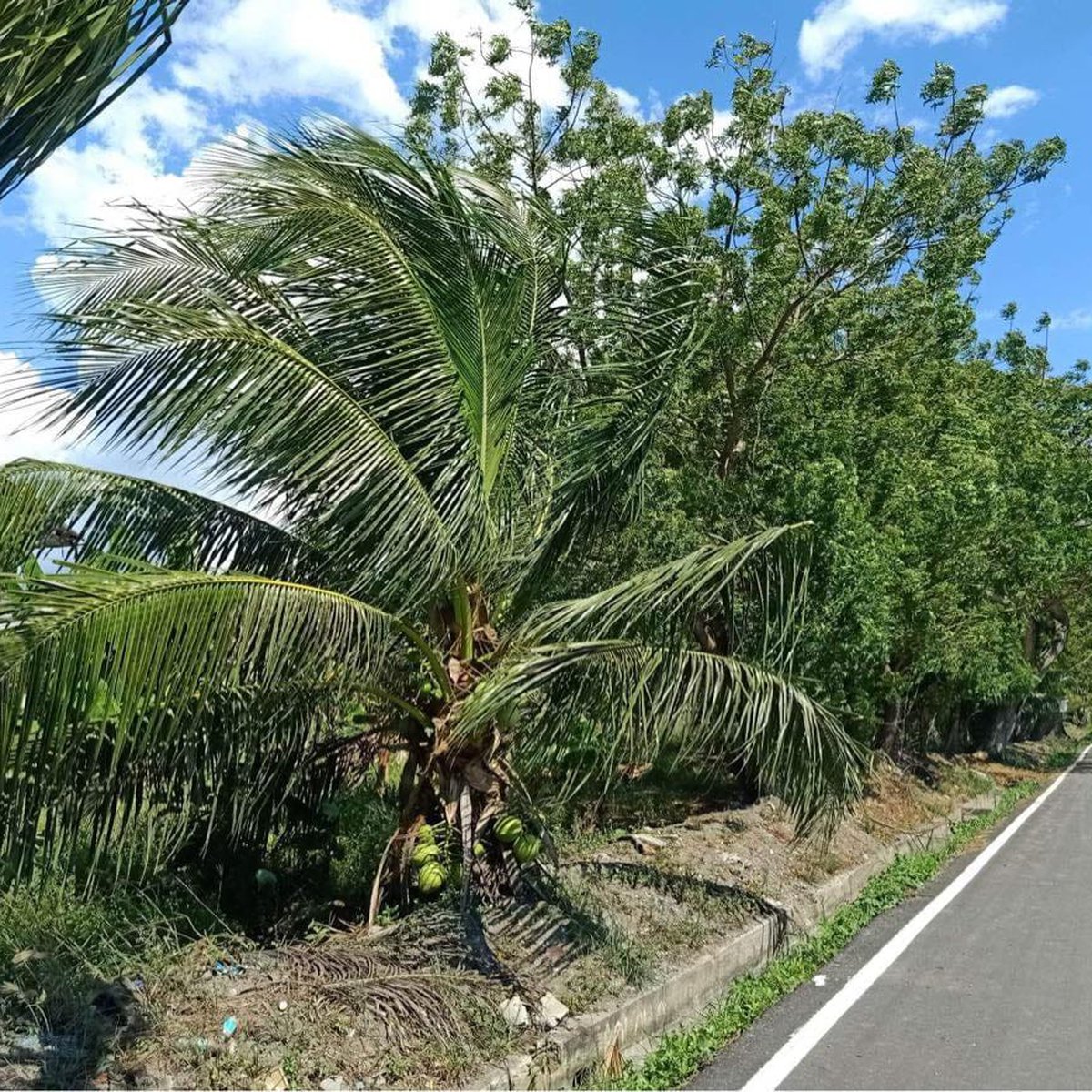 1.08 hectares Lot For Sale in National Highway Kawas, Alabel Sarangani [Lot 🚜] (August 2023) in