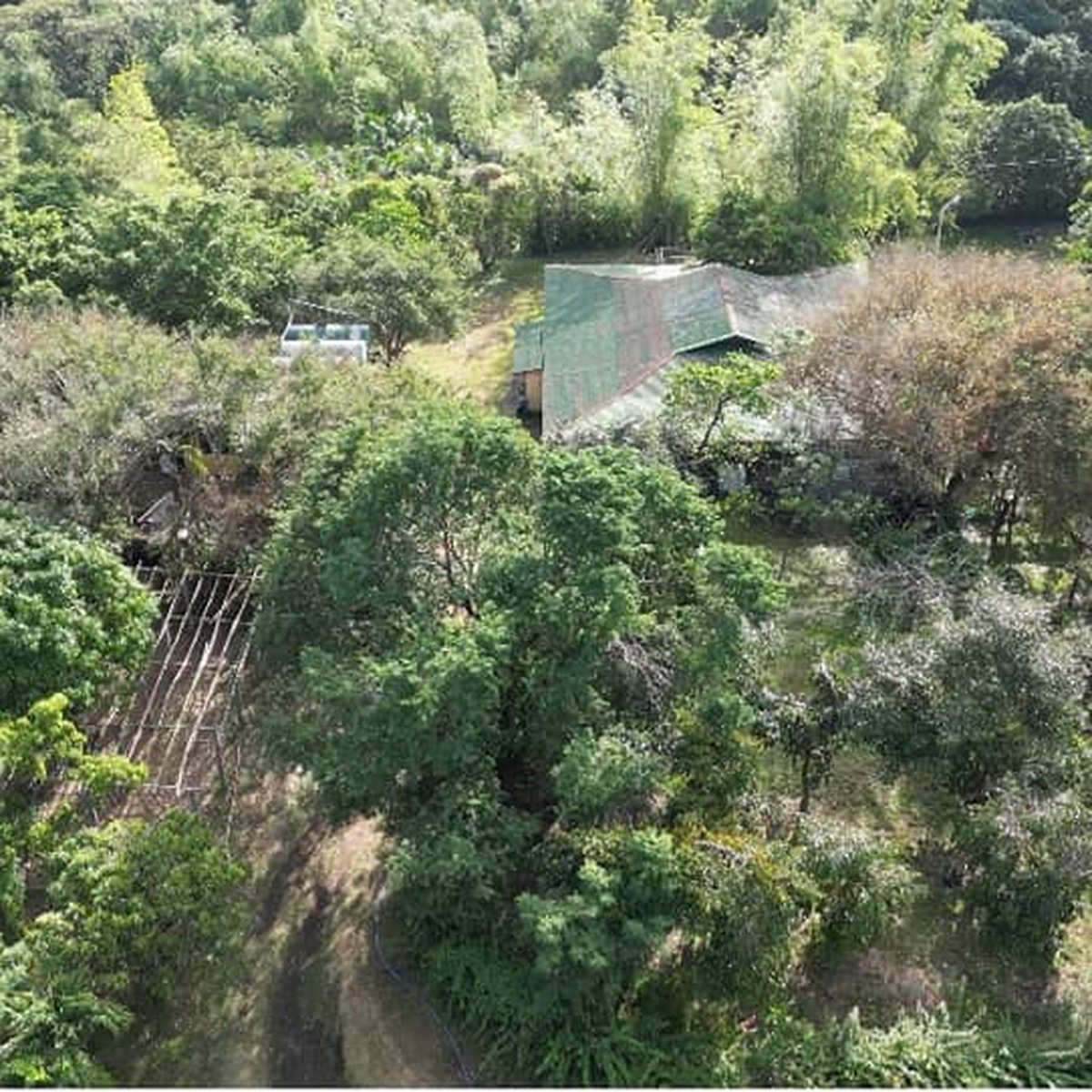14 hectares Residential Farm For Sale in Binangonan Rizal [Lot 🚜