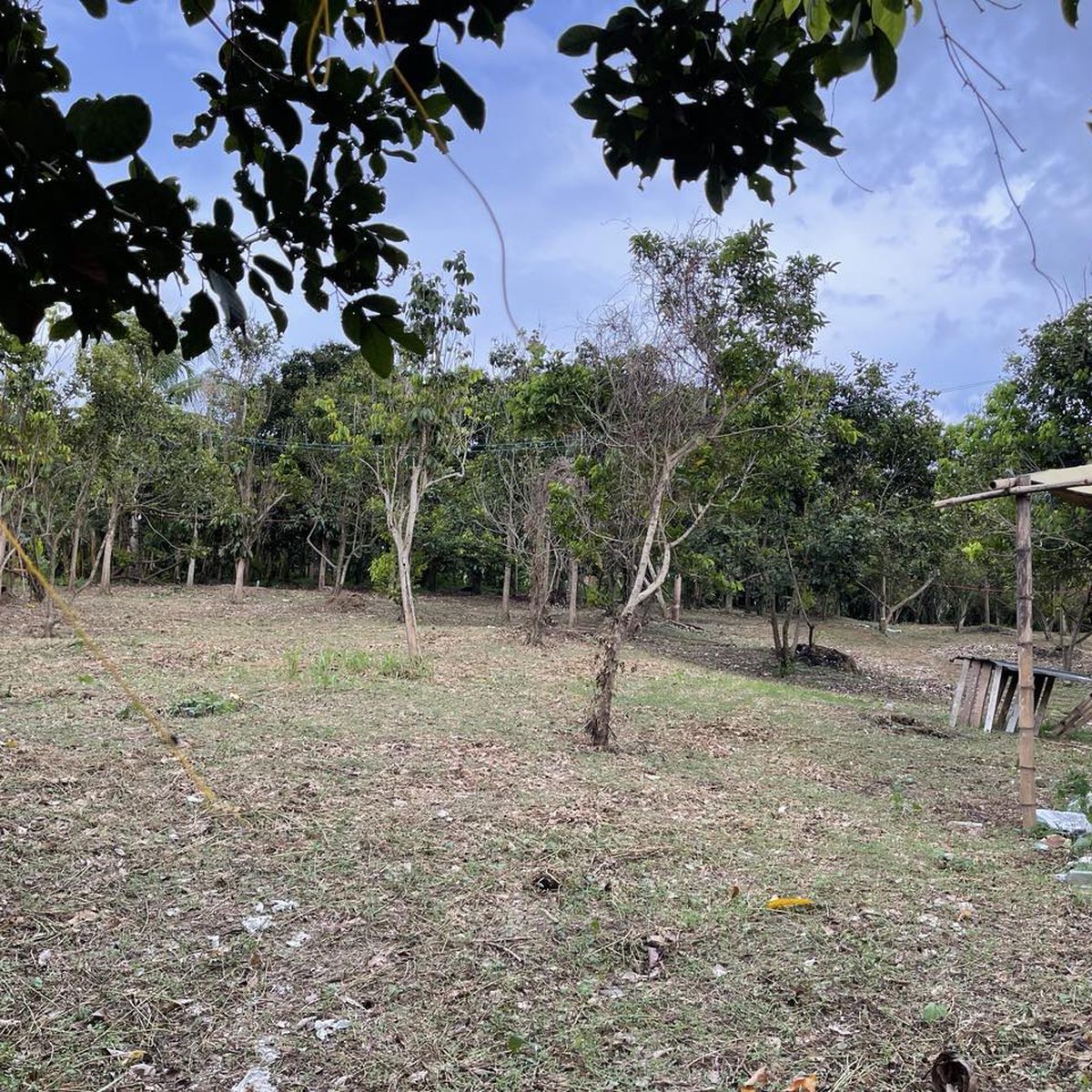Installment Farm Lot in Tanauan Batangas Near Tanauan exit [Lot 🚜
