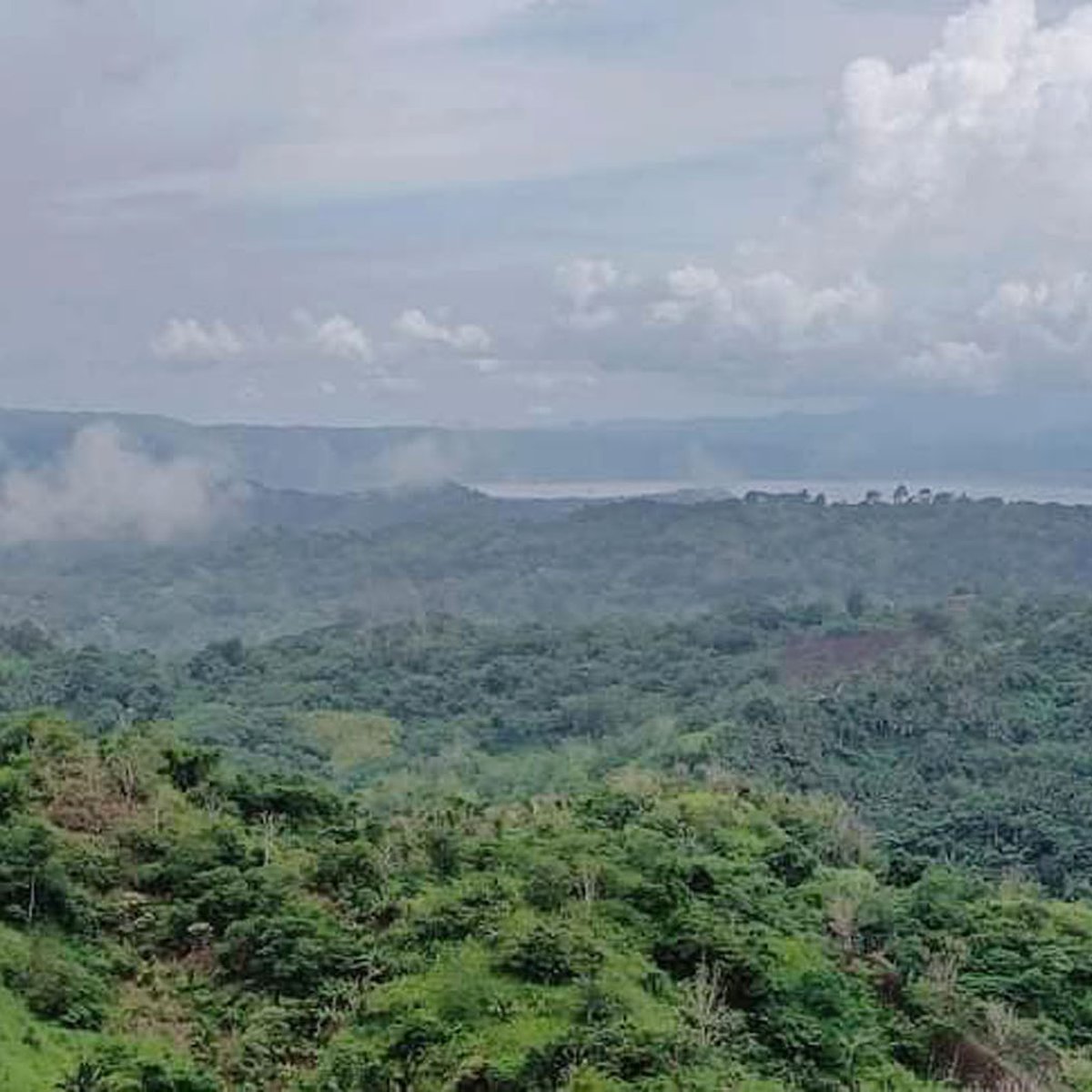 500 sqm Agricultural Farm For Sale in Tanay Rizal [Lot 🚜] (August 2024