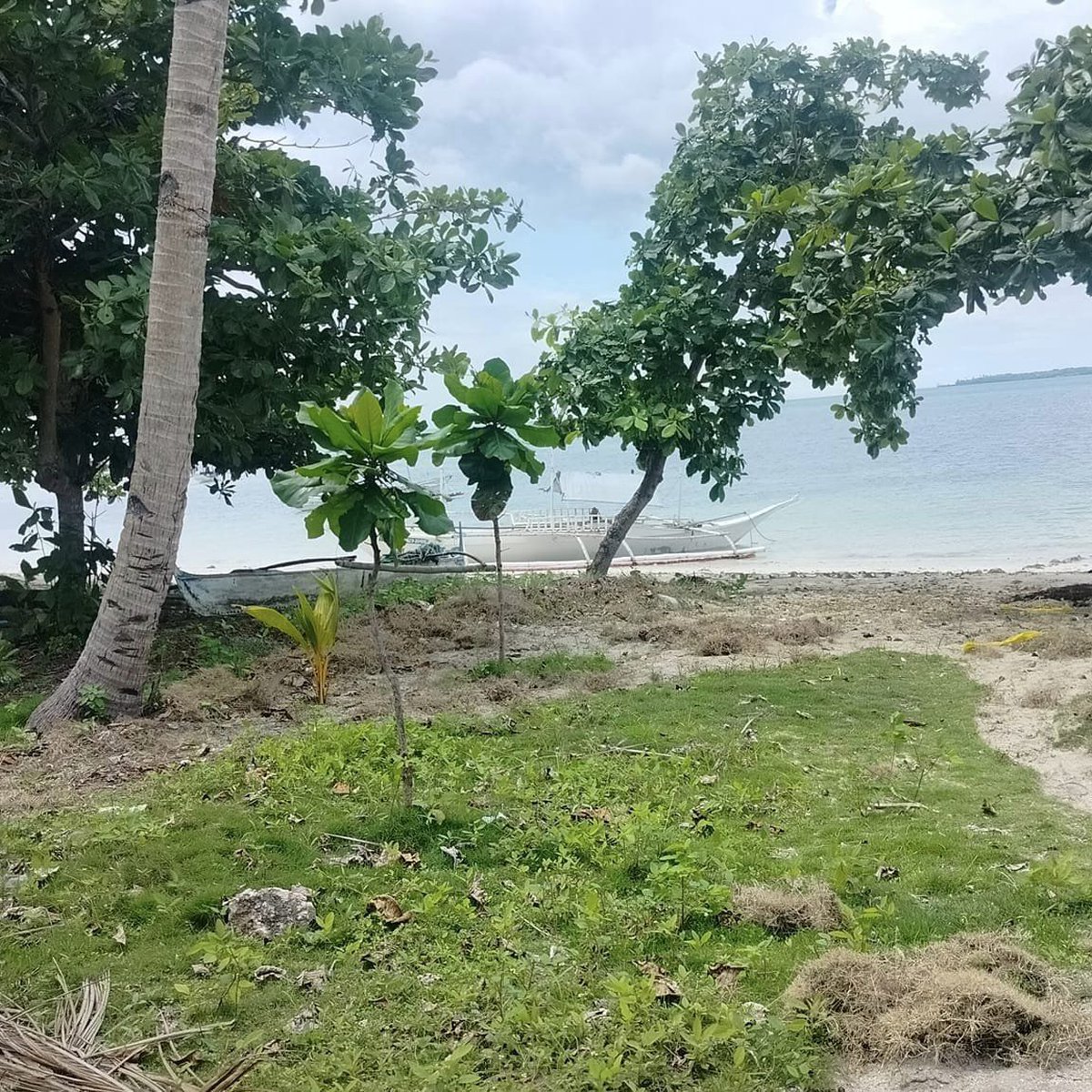 5,000 sqm beach lot for sale 8,000 per sqm at Bantayan Island [Lot 🚜