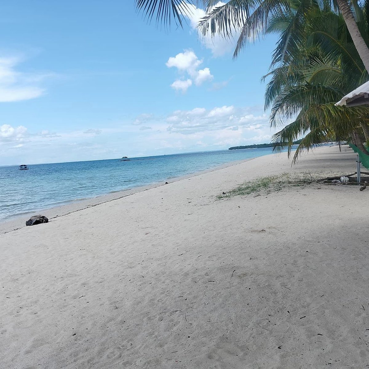 2hectares beach lot with resort generating Bantayan Island Cebu