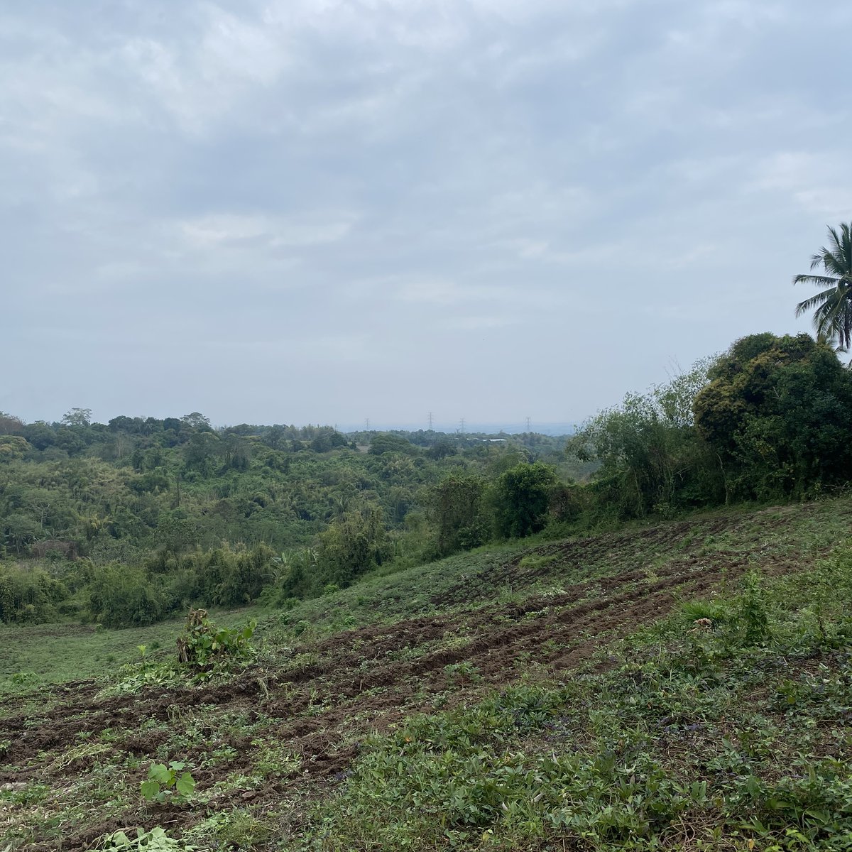 Farm lot in tanay rizal [Lot 🚜] (February 2024) in Tanay, Rizal for sale