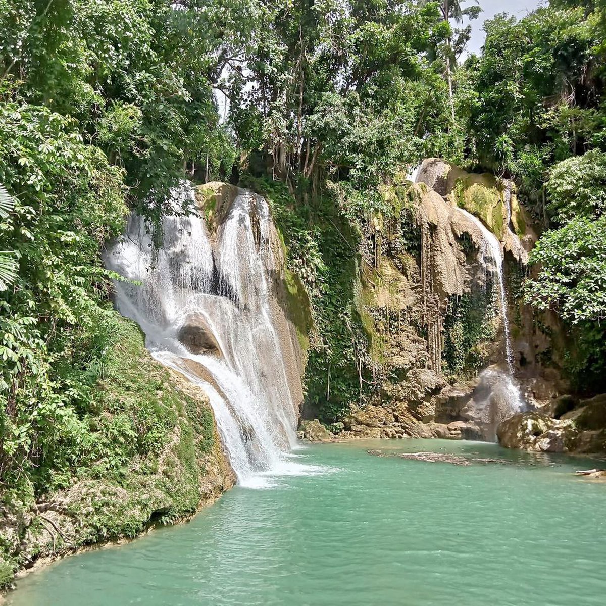 11 hectares Lot with Falls For Sale in Dimiao Bohol [Lot 🚜] (September
