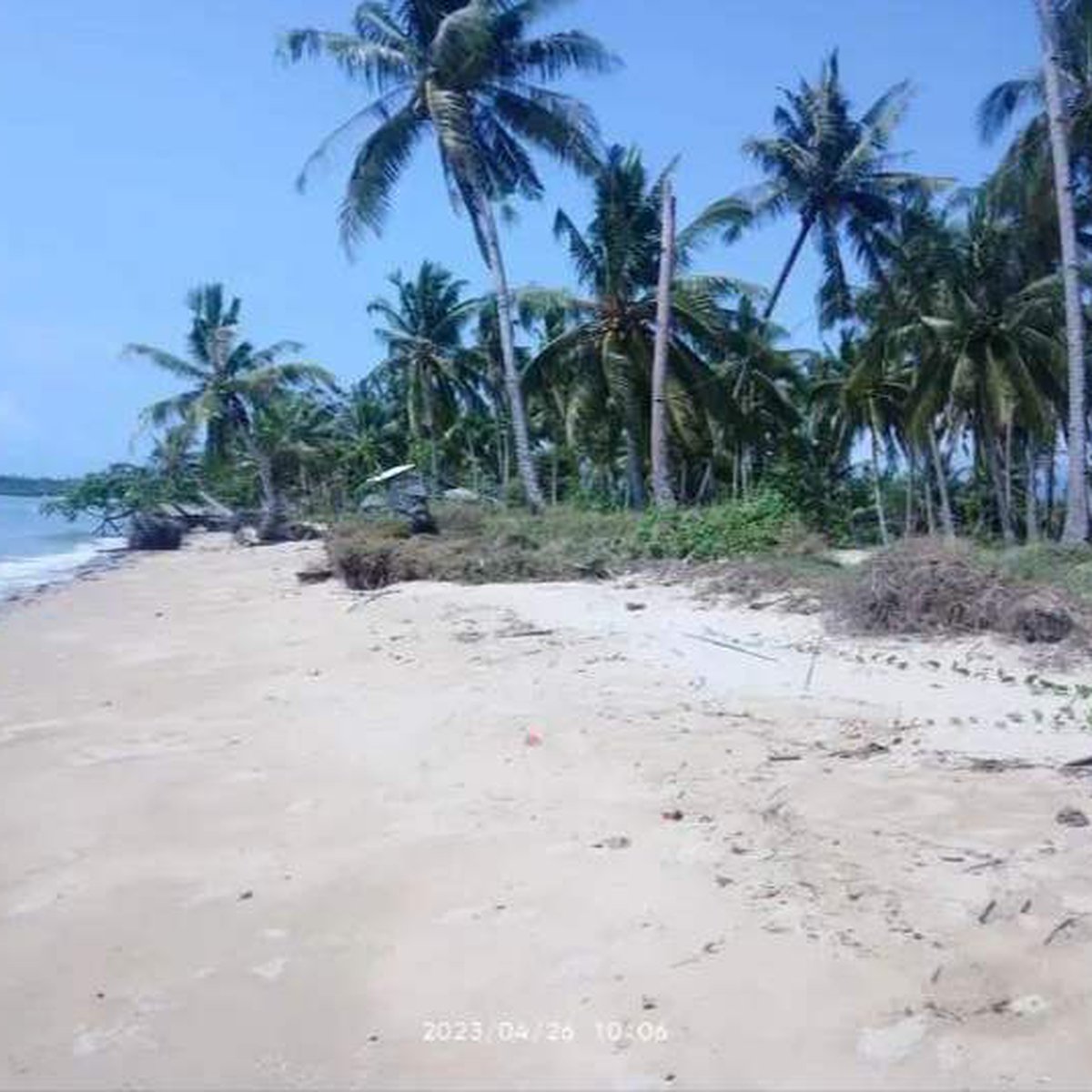 1 hectare Beach lot in Roxas, Palawan [Beach Properties 🏖️] (September ...