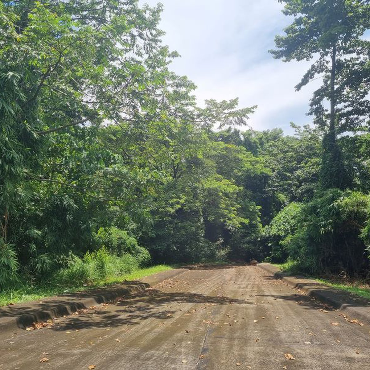 The Grove at Havila Lot For Sale Angono Rizal [Lot 🚜] (June 2024) in