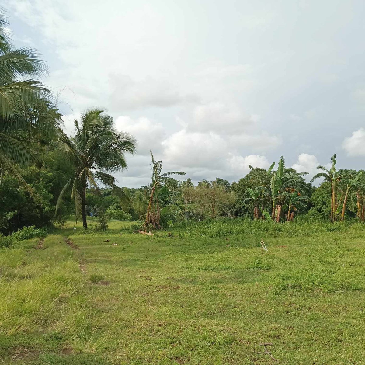 Affordable 200 sqm Residential Farm For Sale in Magallanes Cavite [Lot