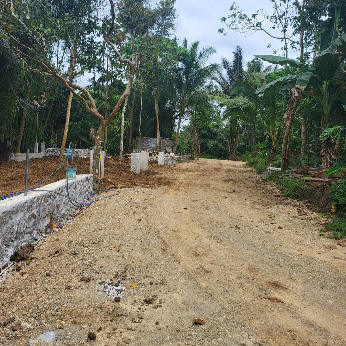 Farm Land for sale in Brgy.Kaytitinga Alfonso Cavite [Lot 🚜] (August
