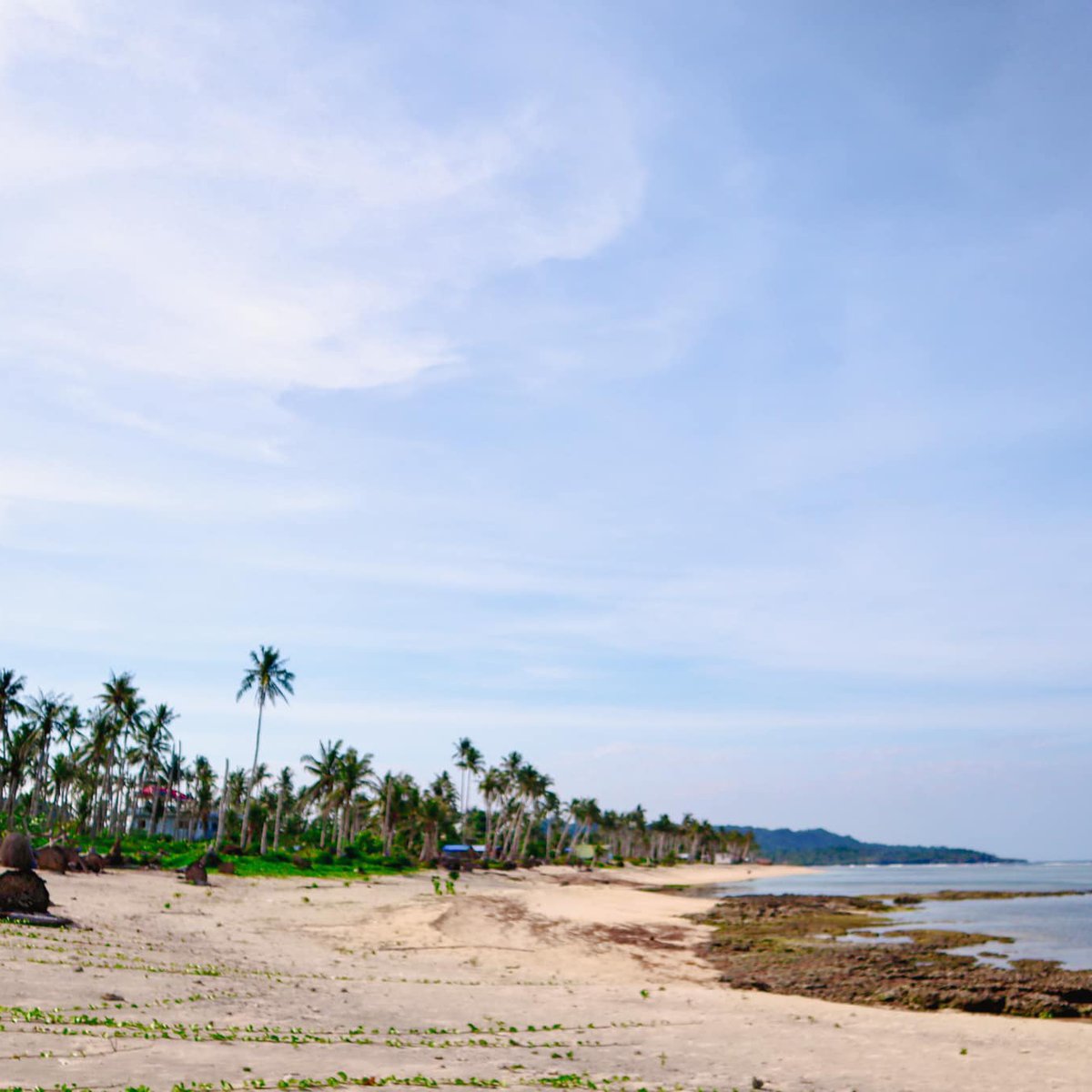 RARE 195 SQM Beach Property For Sale in Siargao [Beach Property 🏖️] (September 2024) in Burgos