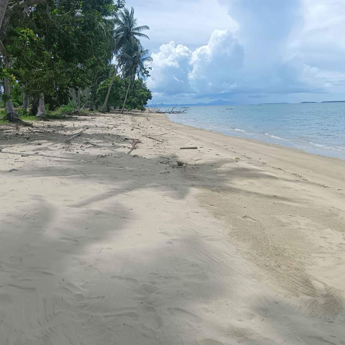 3,647 sqm Subdivided Beach Lot in Roxas Palawan [Beach Property 🏖️ ...