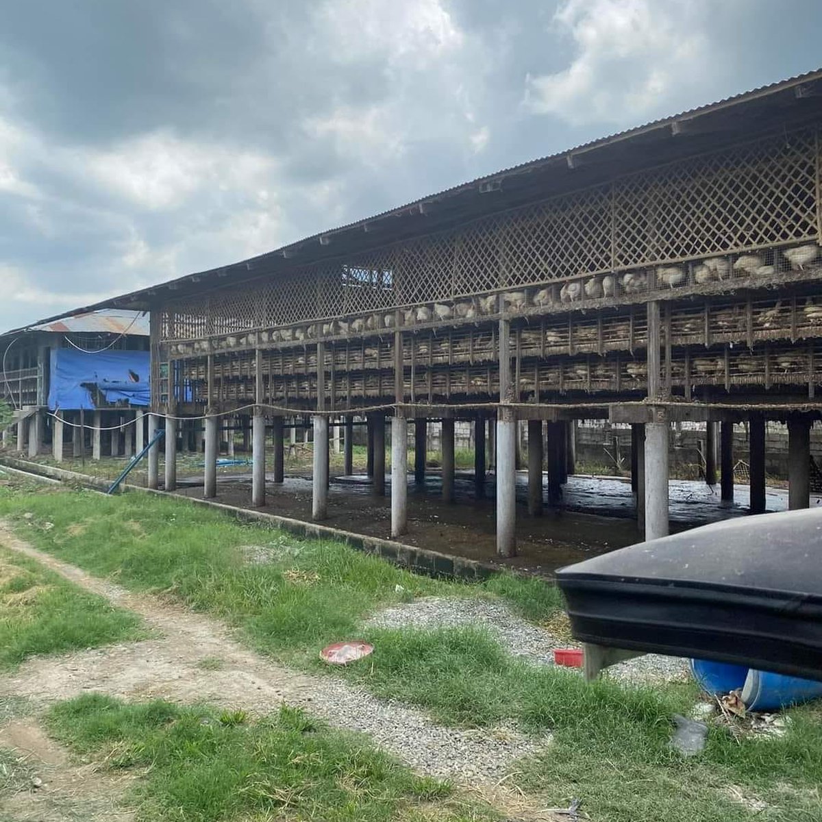 1.8 hectares Agricultural Farm For Sale in Arayat Pampanga [Lot 🚜