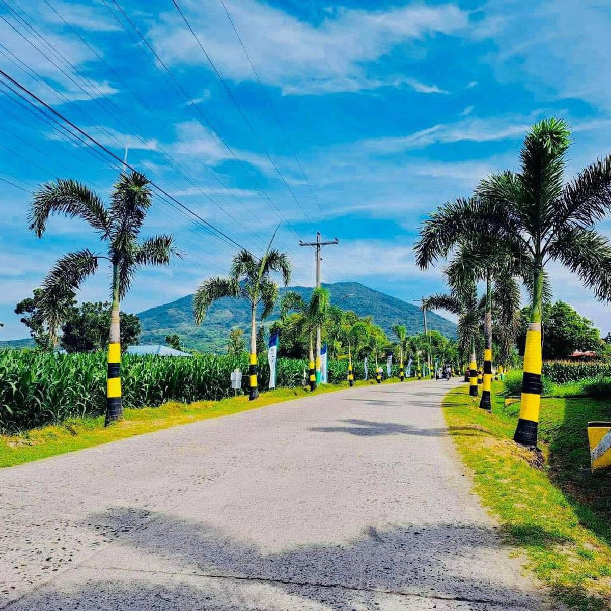 Subdivided Lots 300sqm to 500sqm [Lot 🚜] (August 2024) in Arayat