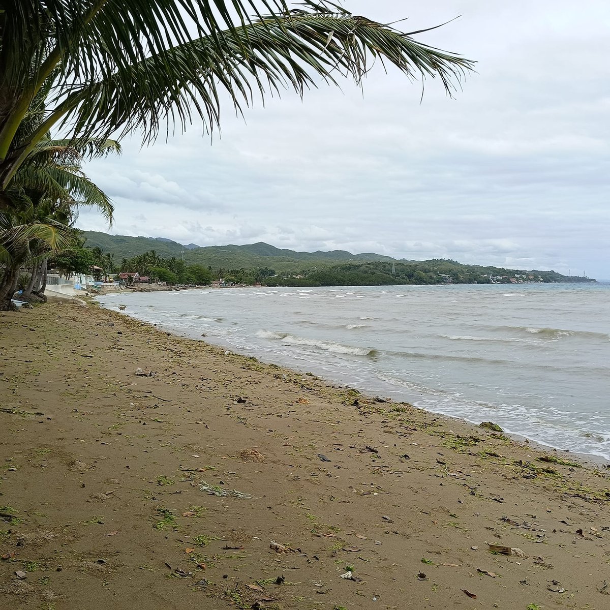 1.5 Hectares Beach Lot For Sale in Carmen, Cebu [Lot 🚜] (September 2024
