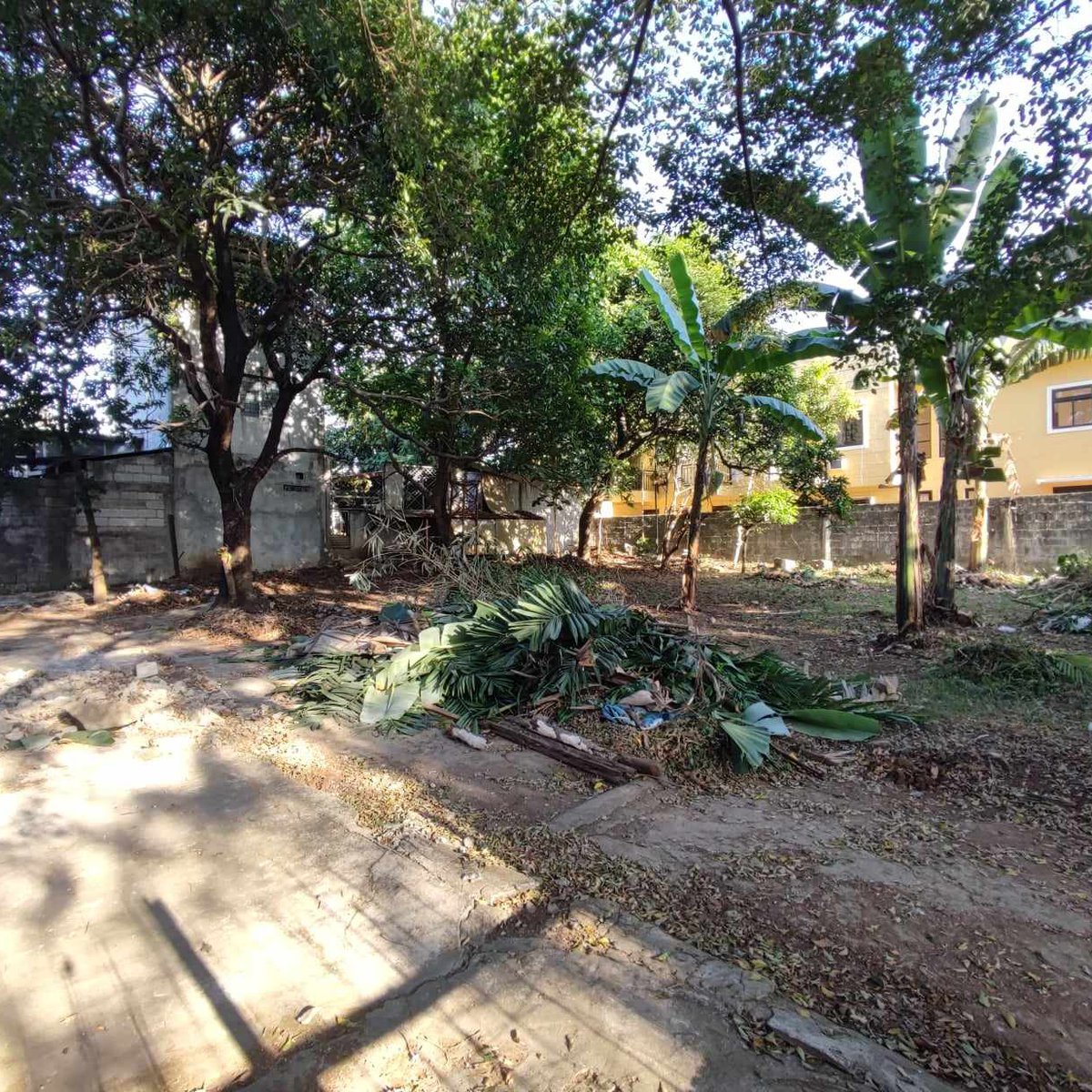 480 sqm Residential Lot For Sale in Almar Subdivision, Caloocan [Lot 🚜