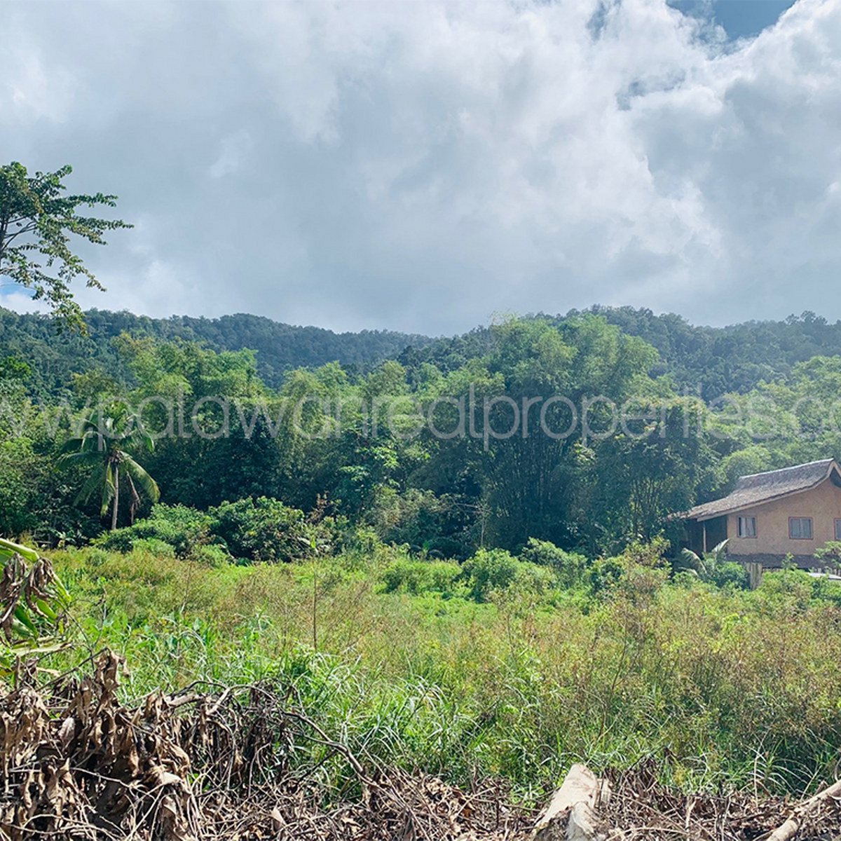 OVERLOOKING RESIDENTIAL LAND IN PORT BARTON,PALAWAN [Lot 🚜] (July 2023
