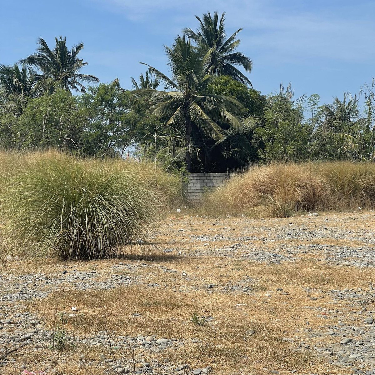 2,000 sqm Beach Property For Sale in San Fabian Pangasinan [Beach