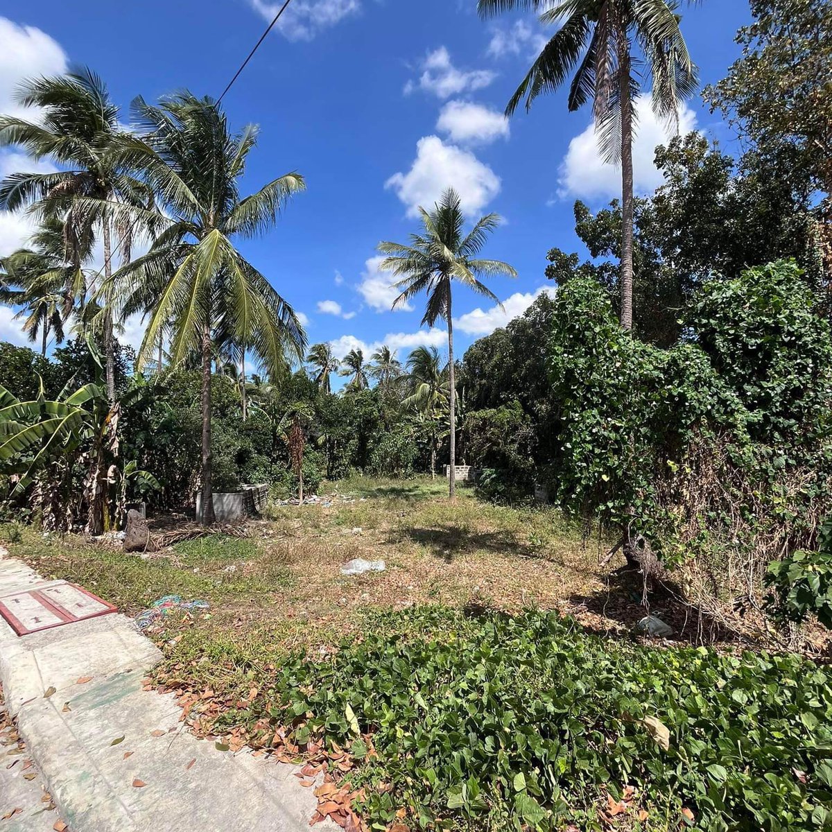 COMMERCIAL LOT BATANGAS MALVAR [Lot 🚜] (March 2024) in Malvar, Batangas